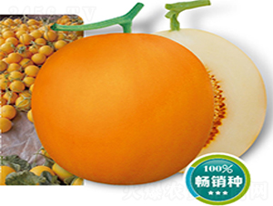 ��t-��ϷN��-�߶˷N�I(y��)