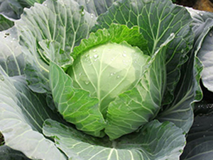 �K��28-���{(l��n)�N��-�н��N�I(y��)