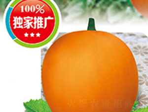 �߶���t-��ϷN��-�߶˷N�I(y��)