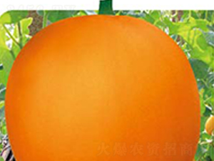 �t��t-��ϷN��-�߶˷N�I(y��)