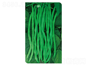 �t�S���L(zh��ng)�߮a(ch��n)�ܶ�-�|���N��-�߶˷N�I(y��)