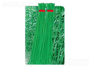 ��(sh��)���L(zh��ng)��-���ǷN��-�߶˷N�I(y��)