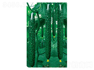 �����߮a(ch��n)��-�S�ϷN��-�߶˷N�I(y��)