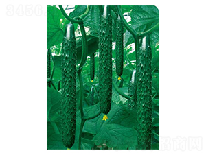 ���x����188-�S�ϷN��-�߶˷N�I(y��)