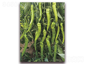 ���709-�����N��-�ƈD�N�I(y��)