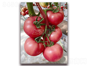 �^ζ-��ɫ���ѷN��-�ƈD�N�I(y��)