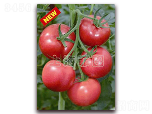 ���ǰ�̖-��TY�۹����ѷN��-�ƈD�N�I(y��)