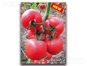 ����1706-��TY�۹����ѷN��-�ƈD�N�I(y��)