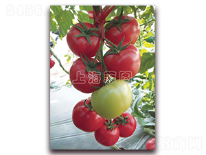 �����A��-��TY�۹����ѷN��-�ƈD�N�I(y��)