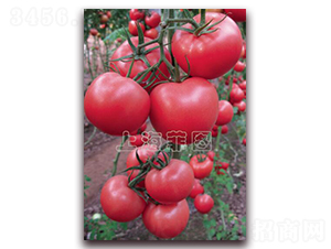 ���ǌ���-��TY�۹����ѷN��-�ƈD�N�I(y��)