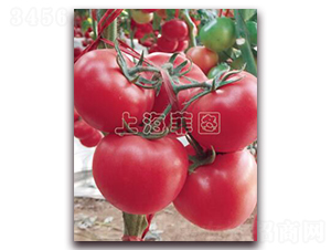 ���ǳ�Ⱥ-��TY�۹����ѷN��-�ƈD�N�I(y��)