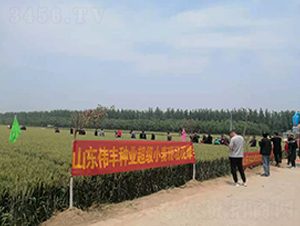 ɽ�|���S�N�I(y��)����С���F(xi��n)���^Ħ��