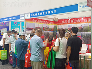 ɽ�|���S�N�I(y��)���޹�˾չ��ʢ�r