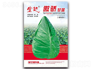 �����{(l��n)�������ͣ�-���{(l��n)�N��-���_(d��)