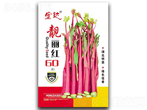 �n���t60F1-��̦�N��-���_(d��)