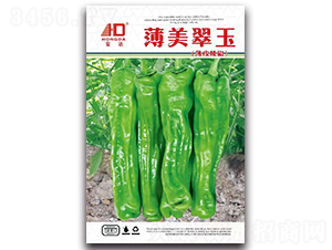 薄美翠玉（薄皮辣椒）-辣椒種子-宏達(dá)