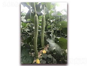 �оG���-�z�ϷN��-�A�~�N�I(y��)