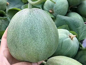 �G��-��ϷN��-�A�~�N�I(y��)