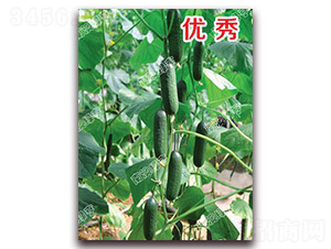 ��(y��u)��-С�S�ϷN��-�ϰľG��