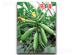 ���h-�����J�N��-�ϰľG��