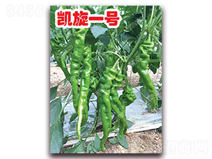 �P��һ̖-�ݽz���N��-�ϰľG��