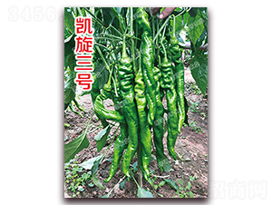 �P����̖-�ݽz���N��-�ϰľG��