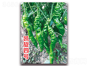 �P����̖-�ݽz���N��-�ϰľG��