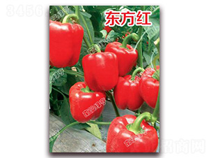 �|���t-�𽷷N��-�ϰľG��