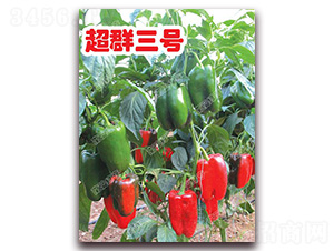 ��Ⱥ��̖-�𽷷N��-�ϰľG��