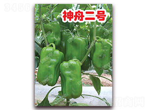 ���۶�̖-�𽷷N��-�ϰľG��