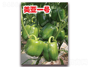 ����һ̖-�𽷷N��-�ϰľG��