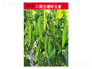 ���mӲ�U����-�����N��-Ӣ���m��