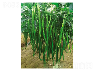 ���L����l-�����N��-Ӣ���m��