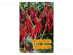 ����w��-�����N��-Ӣ���m��