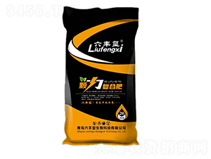 顆力復(fù)合肥-六豐璽