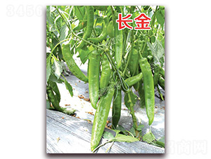 �L��-�⽷�N��-�ϰľG��