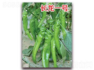 �L��һ̖-�⽷�N��-�ϰľG��