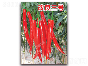 ������̖-�⽷�N��-�ϰľG��