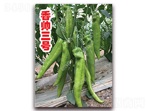 �㎛��̖-�⽷�N��-�ϰľG��