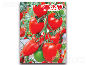 �����_-��ɫ���ѷN��-�ϰľG��