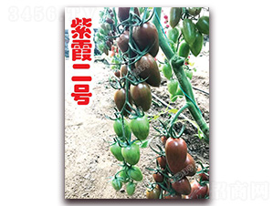 ��ϼ��̖-��ɫ���ѷN��-�ϰľG��