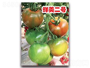 �r����̖-��ɫ���ѷN��-�ϰľG��