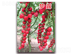 ��¶-���ҷ��ѷN��-�ϰľG��