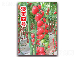 ������̖-���ҷ��ѷN��-�ϰľG��