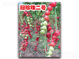 �������̖-���ҷ��ѷN��-�ϰľG��