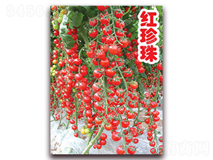 �t����-���ҷ��ѷN��-�ϰľG��