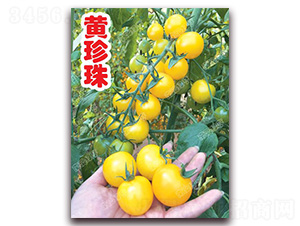 �S����-���ҷ��ѷN��-�ϰľG��