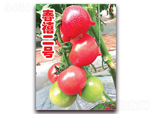 ������̖-���ҷ��ѷN��-�ϰľG��