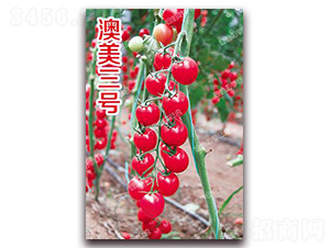 ������̖(h��o)-���ҷ��ѷN��-�ϰľG��