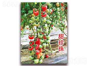 ������-���ҷ��ѷN��-�ϰľG��